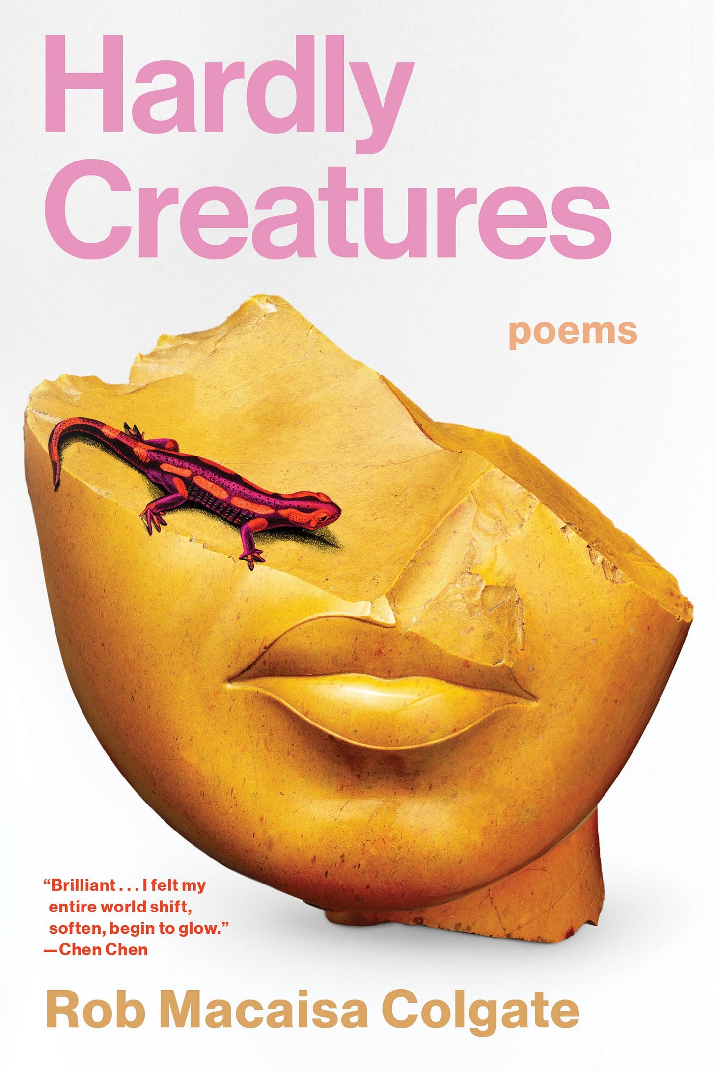 The cover of a book with a gold sculpture of a face that has been severed above the lip. A red lizard is crawling on a tilted surface. A quote by Chen Chen says “Brilliant… I felt my entire world shift, soften, begin to glow.”