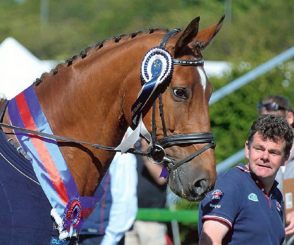 Equestrian Interview-International Paralympic Dressage Coach Clive Milkins  Chats to ISH Magazine. – Irish Sport Horse Magazine