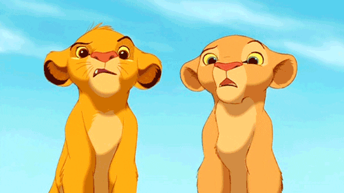 A gif of two lion cubs looking confused from the Lion King movie.