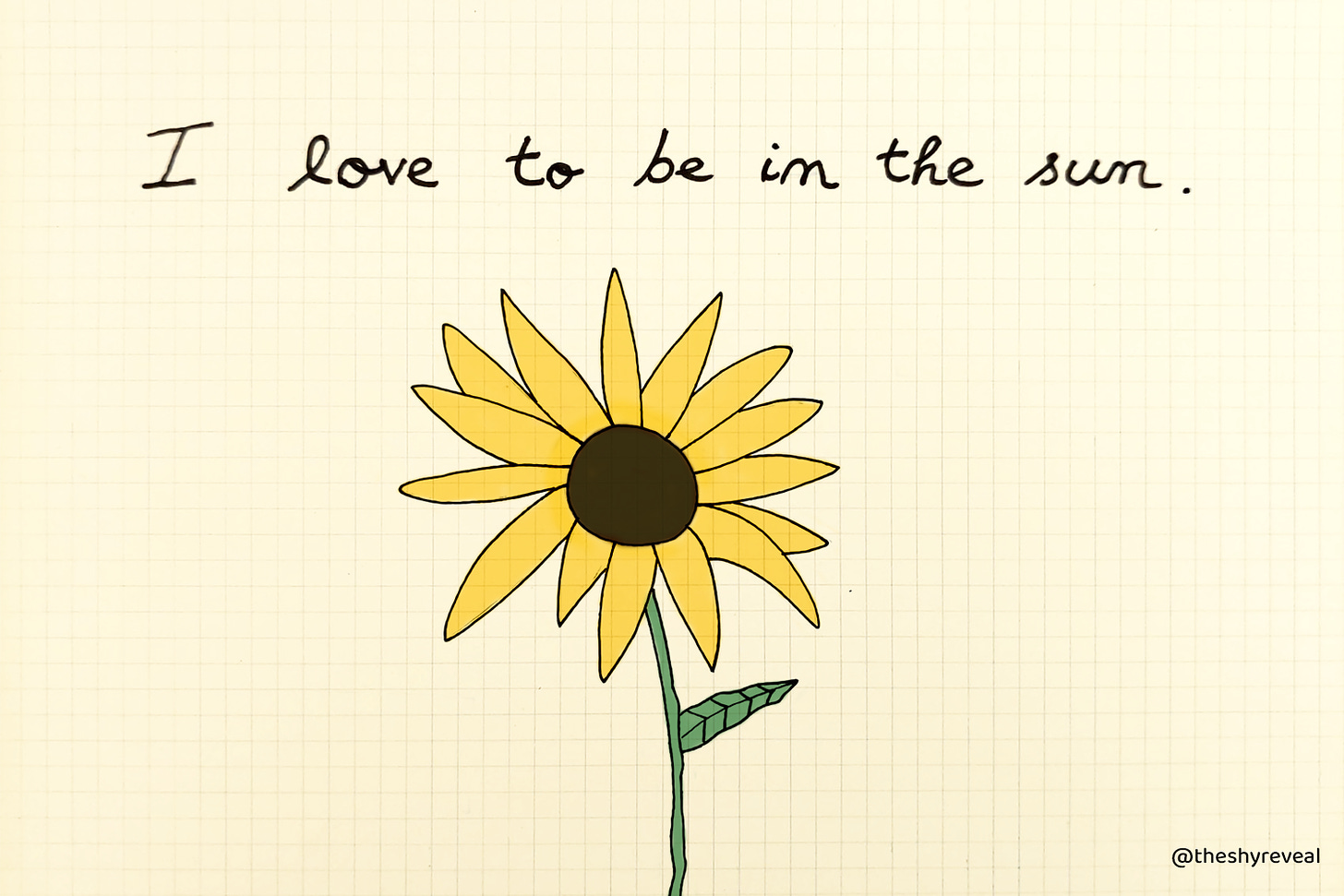 Drawing of a sunflower with the sentence: "I love to be in the sun".