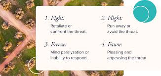 Fawn Trauma Response | Inner Balance ...