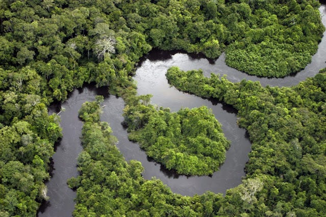 Uma viagem ao mundo verde: Manaus - Amazonas