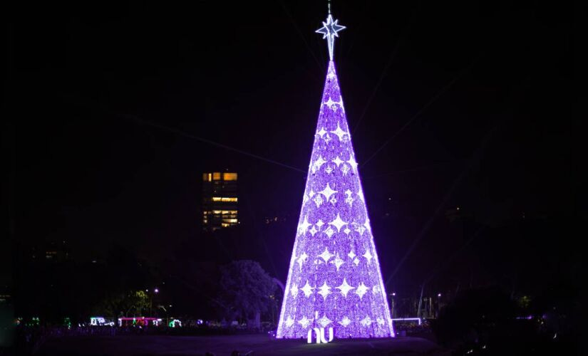 Fotografia da árvore de Natal do parque Ibirapuera a noite, decorada e iluminada totalmente na cor roxa e com a marca do Nubank em sua base.