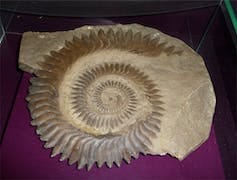 Close-up of a stone spiral with pointy edges set on a purple background