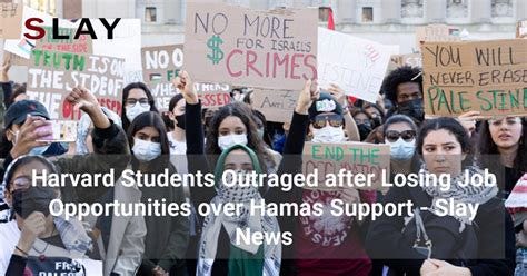 Harvard Students Outraged after Losing Job Opportunities over Hamas ...