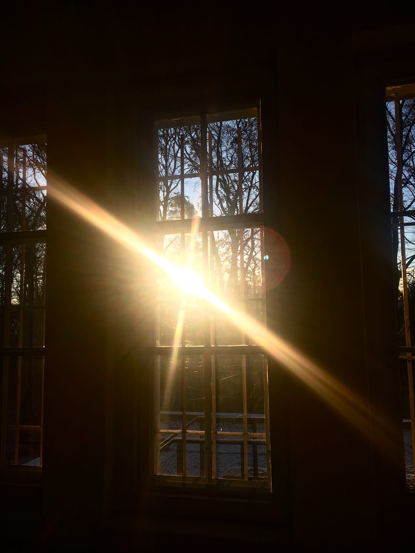 Das Bild zeigt Fenster, dahinter Bäume und blauen Himmel. Die Sonne scheint so durchs Fenster, dass ihre Reflektion auf dem Foto ein Kreuz bildet, das das Bild dominiert.