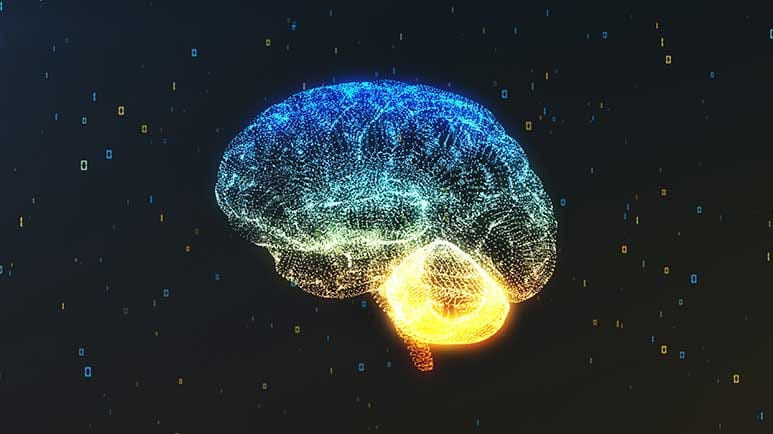 inflammation alters mood and behavior