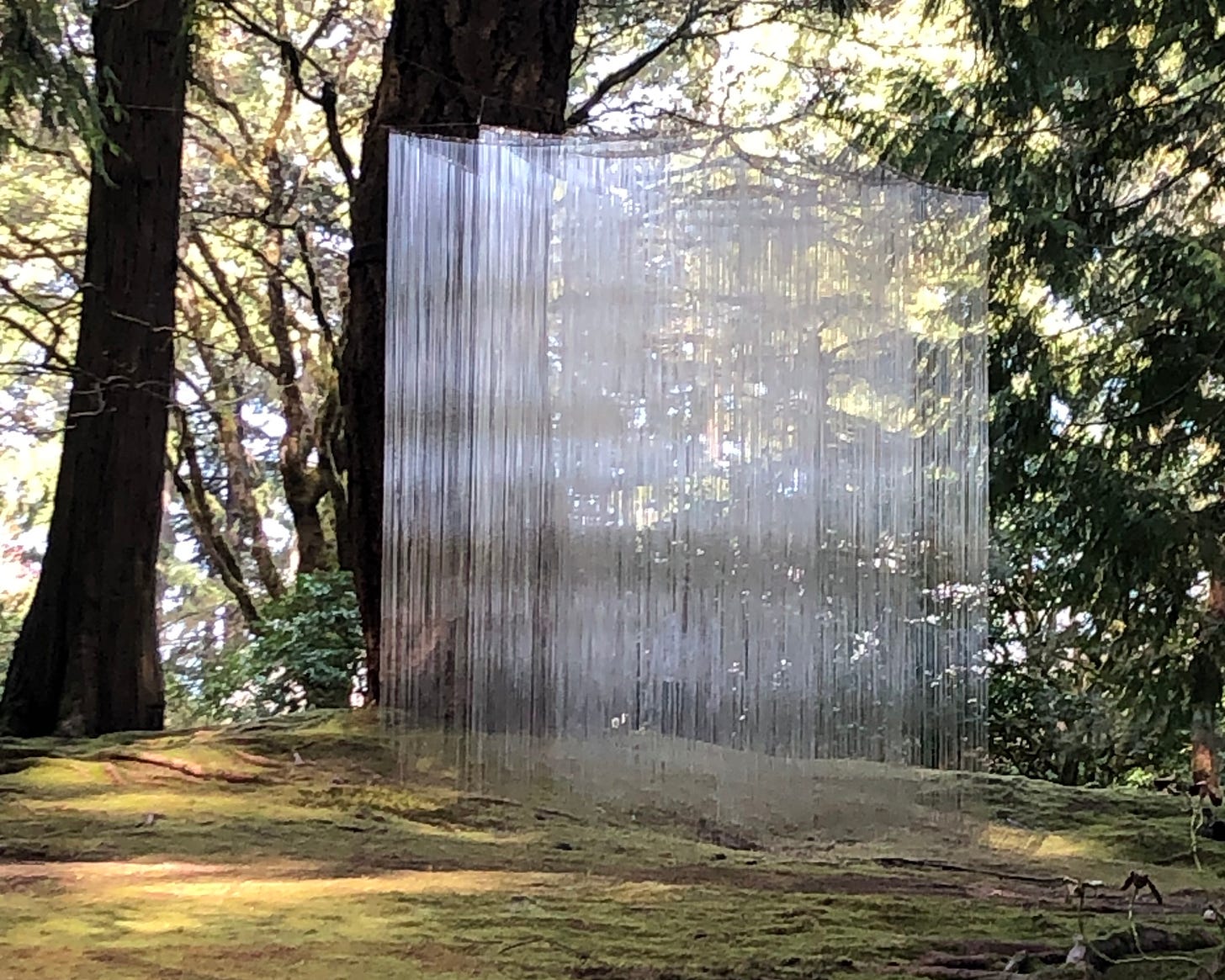 Translucent threads of glass hang in a grove of trees.