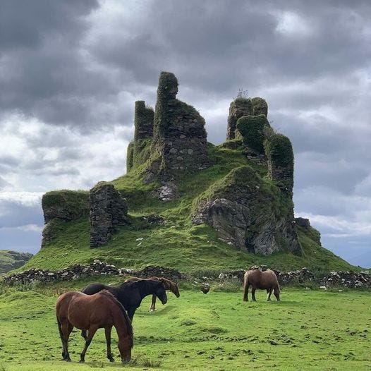 May be an image of horse and castle