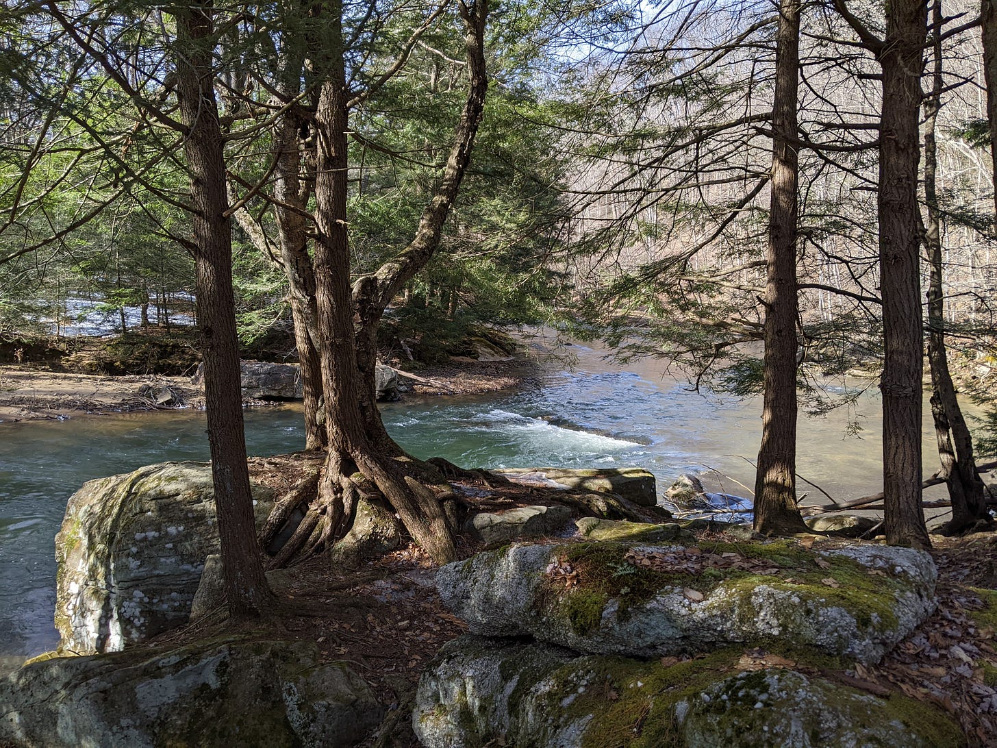 A stream flowing behind a rock outcropping covered in trees and moss.