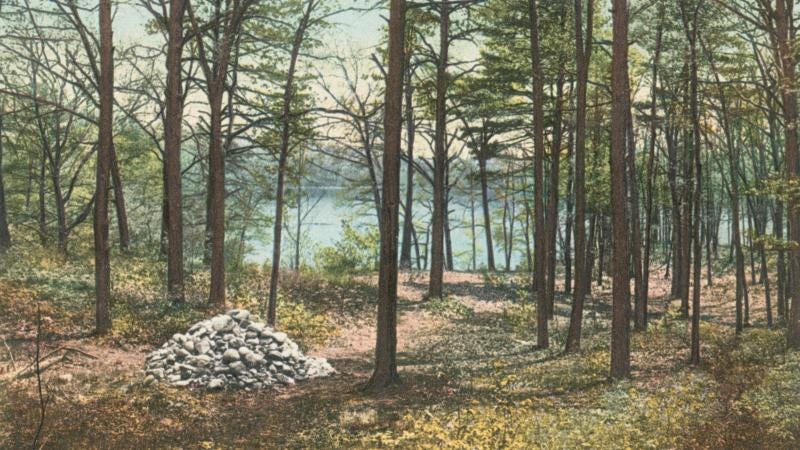 Why The Walden Pond Experiment In Self-Reliance Is More Relevant Than Ever  | To The Best Of Our Knowledge