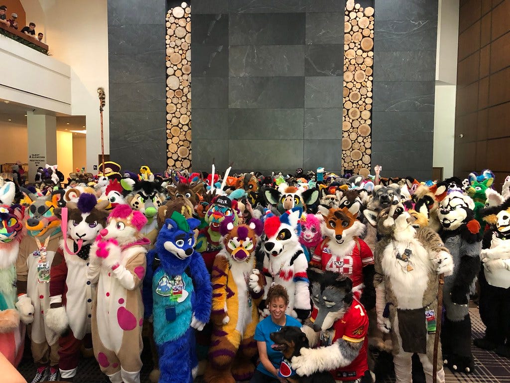What Do Furries Do At Furry Conventions? - Fursonafy