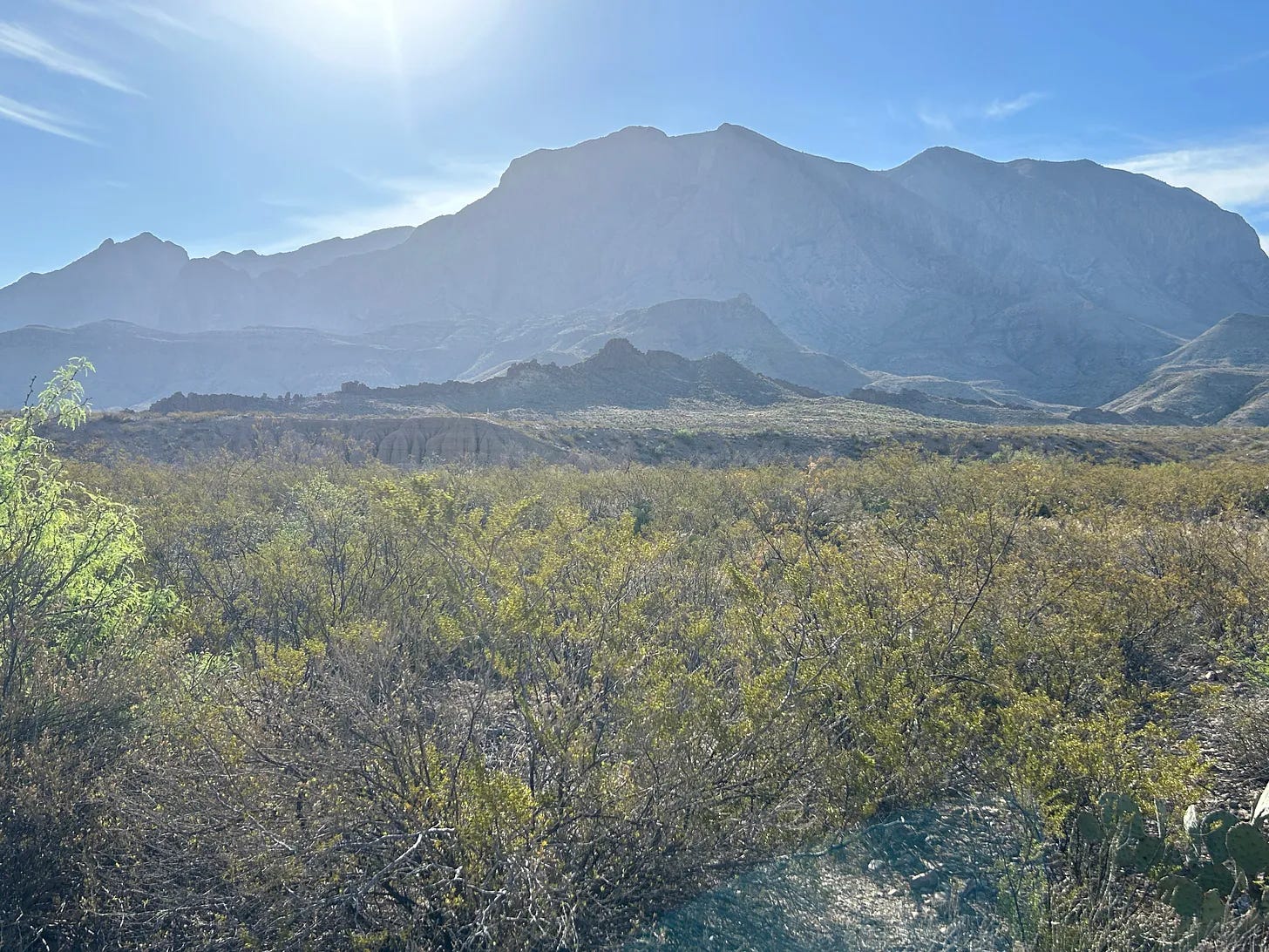 Visiting Big Bend National Park