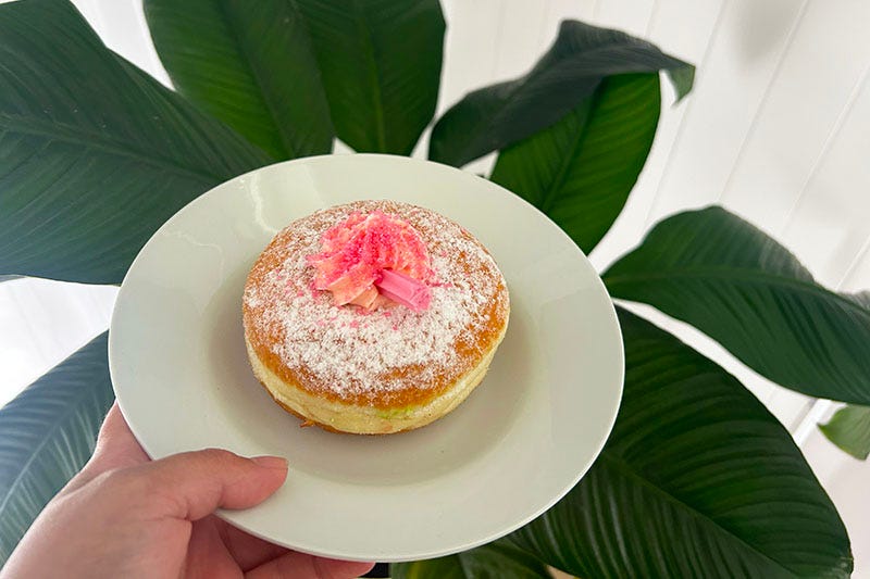 A hand holds a plate with a doughnut on it, with pink frosting. 