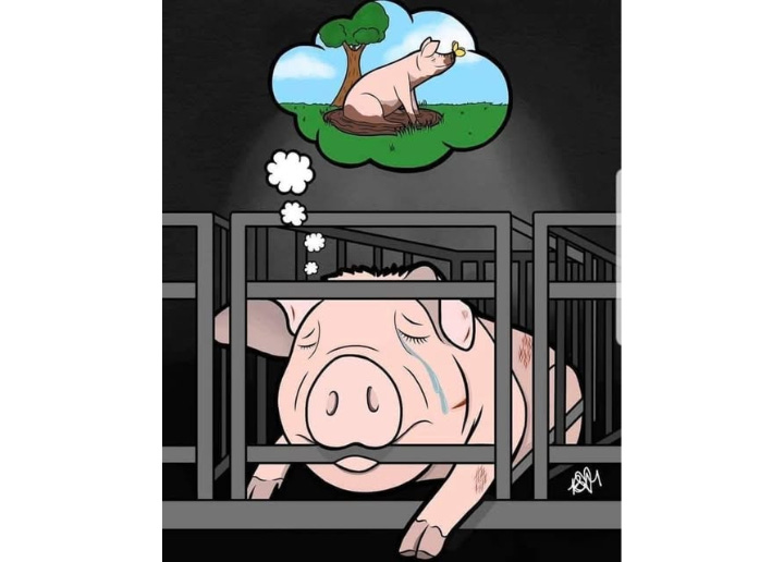 This heartbreaking image speaks volumes. Intelligent, emotional beings are trapped and suffering, dreaming of the freedom they will never have. No being deserves a life of confinement and misery. A simple choice of going vegan can help end this cruelty. Their dreams shouldn't stay dreams.