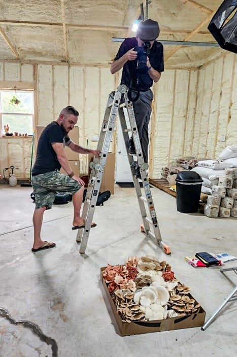 Two men on ladders in a room

Description automatically generated