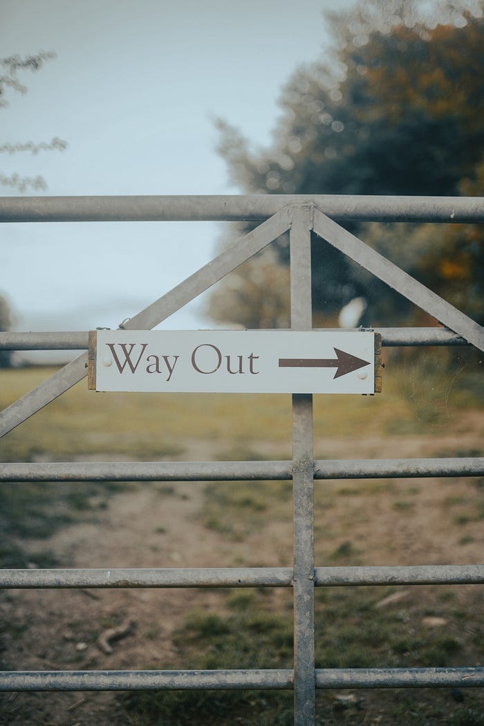 A simple sign on a livestock gate. There is an arrow pointing off to one side, and the words “Way Out” written in large letters. A simple sign on a livestock gate. There is an arrow pointing off to one side, and the words “Way Out” written in large letters.