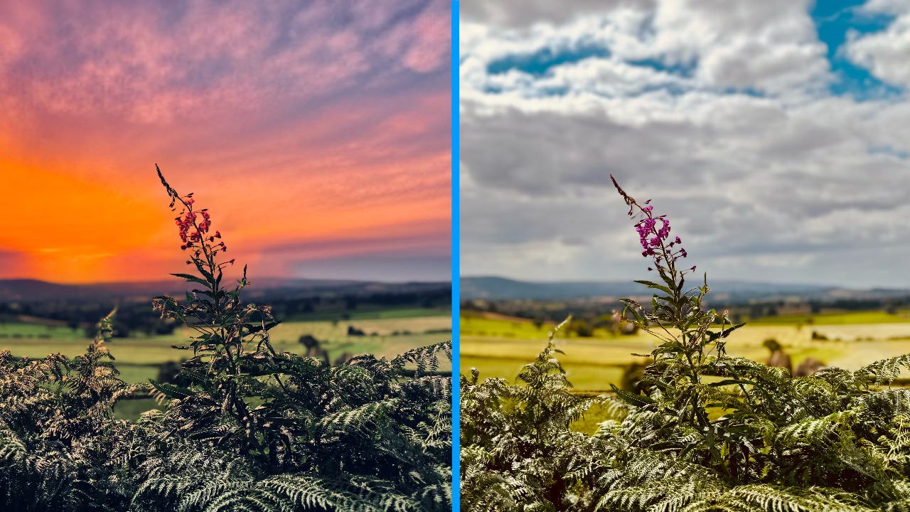 A side by side image of a flower in a hedgerow. The sky is full of clouds and blue sky in one and the other has a reddish sky as if at dusk or early morning.