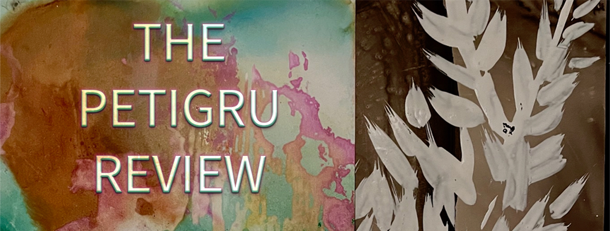 The Petigru Review cover with colorful background