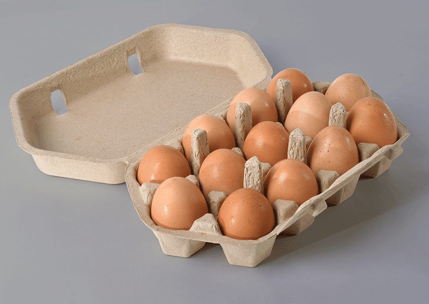 a carton hosting 13 eggs