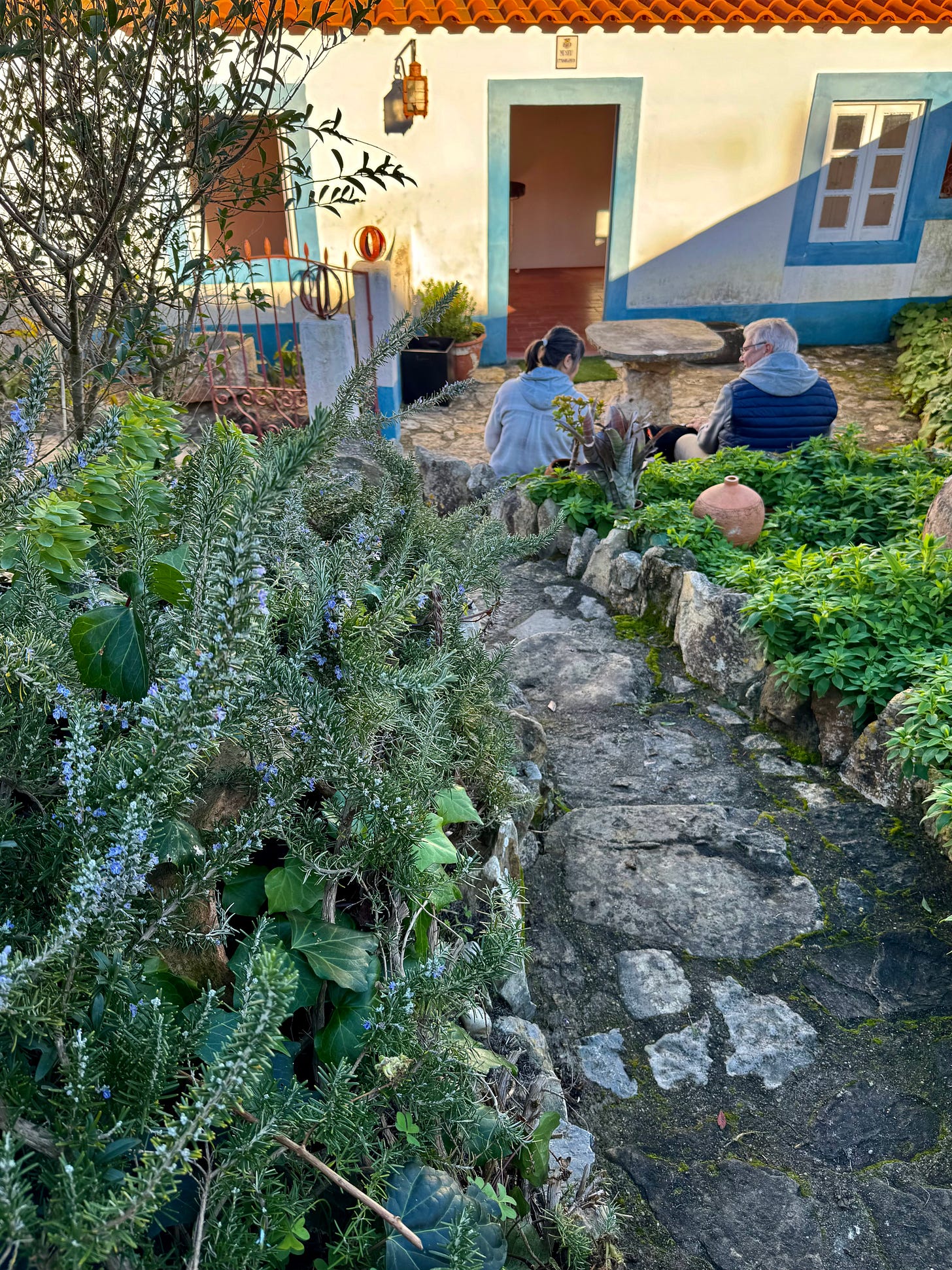 Winter Garden at the Dr. Jaime Umbelino Museum