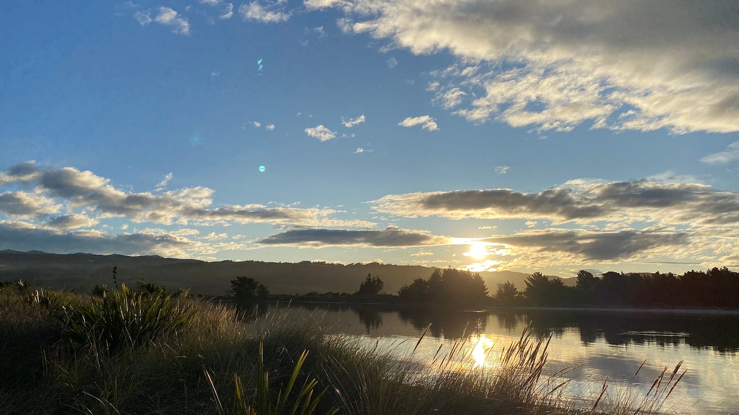 In the foreground are the long stems and fluffy seed heads of yellow grasses. The still, silvery, water of the bay reflects the bright setting sun. The sun itself is a bright ball just above the line of mountains, creating sharp, dark silhouettes of macrocarpa trees on the other side of the bay. The sky is blue, with white, fluffy clouds starting to turn a moody grey. 