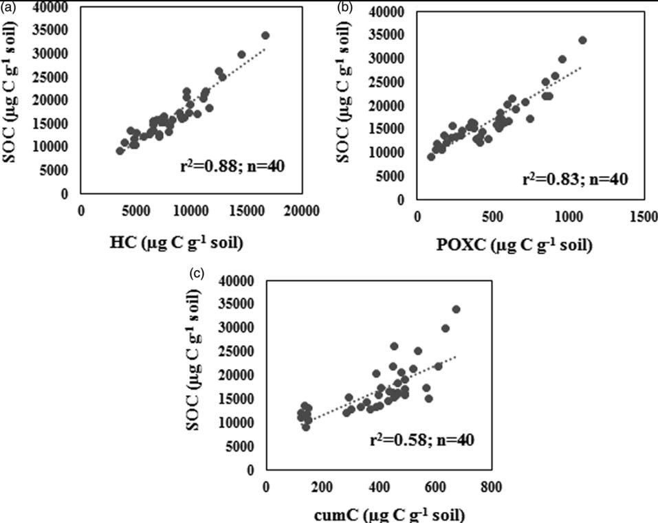 A graph of different soil types

AI-generated content may be incorrect.