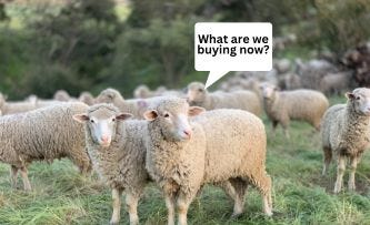 Herding Behaviour | Cognitive Bias | Wealthwise Education