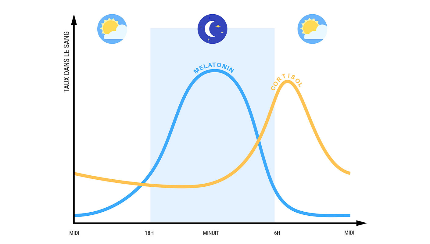Mélatonine : Une hormone naturelle pour un meilleur sommeil - DRAVEL