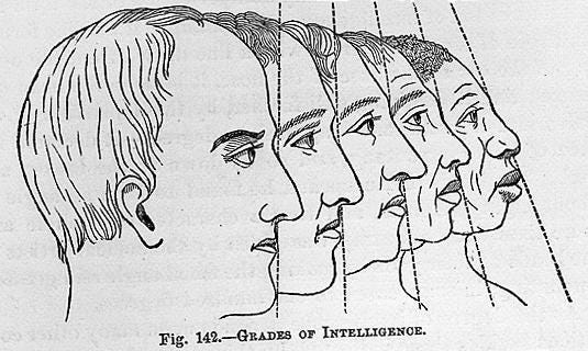 Phrenology Phrenology
