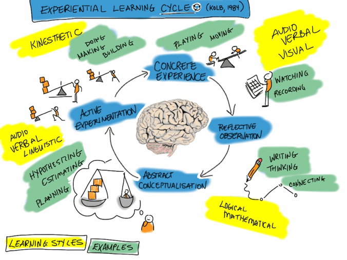 Experiential Learning: Breaking Down the Learning Cycle — Class Central