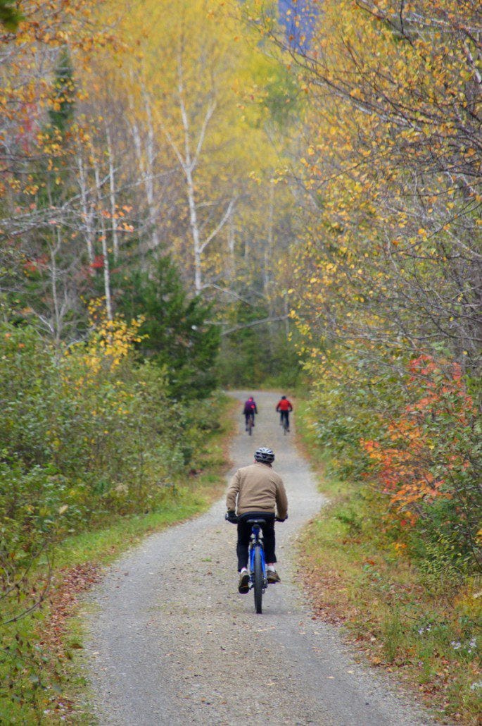 The Narrow Gauge Rail Trail finish line near where we parked the car. Note for mountain bikers: there are NICE gravity trails in the area built by MTBers for MTBers. Worth a visit!