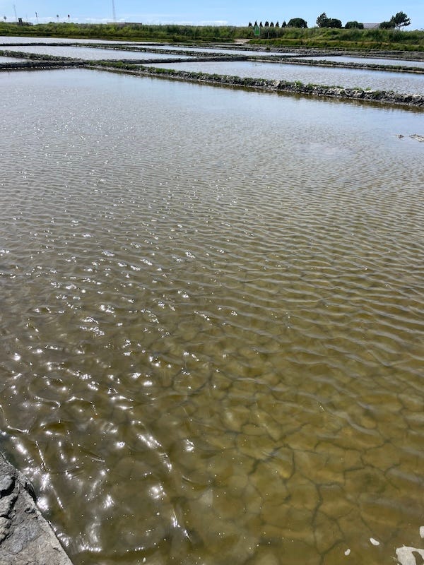 Shallow water in supply ponds of a saltpan