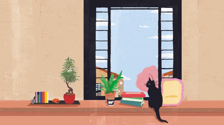 ilustração da capa do livro, que traz uma janela aberta vista de dentro da casa. em volta da janela, há um gato preto, uma pilha de livros, algumas plantas e uma xícara de café. a ilustração é colorida, levemente aquarelada, e os tons de bege da parede e do balcão contrastam com a borda preta da janela e o gato. é propositalmente simples e relaxante :)