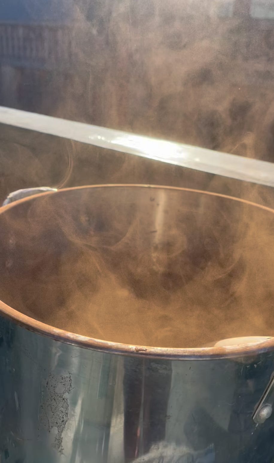 picture of a large silver stock pot, with what looks like brown steam rising from it. the "steam" is the brown of mushroom spores!