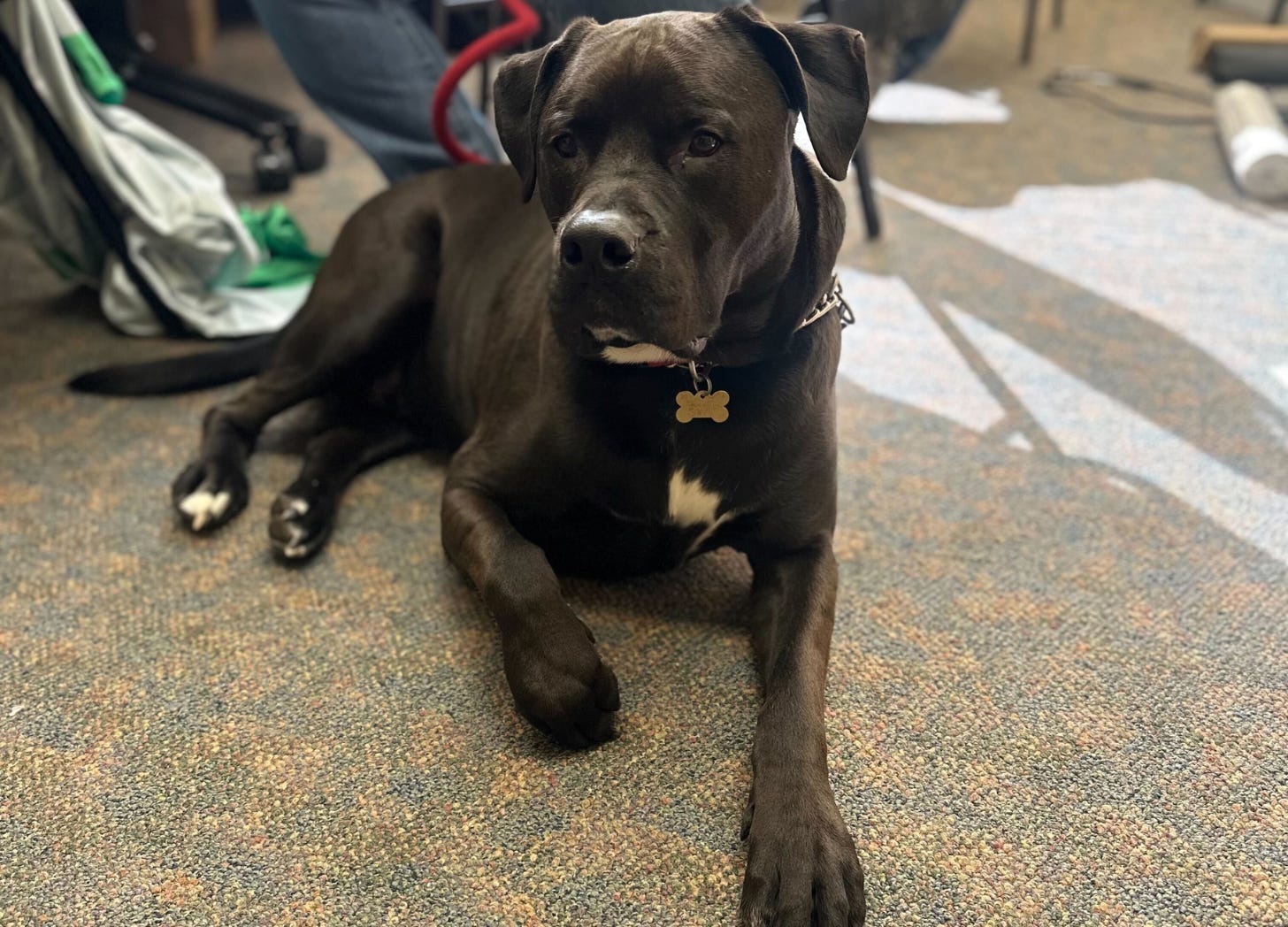 Bruno at RootsCamp 