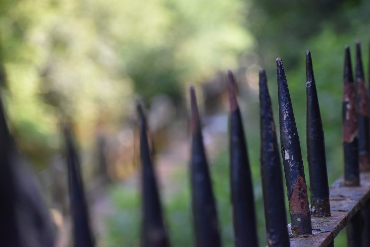 A row of pointy metal fence posts.