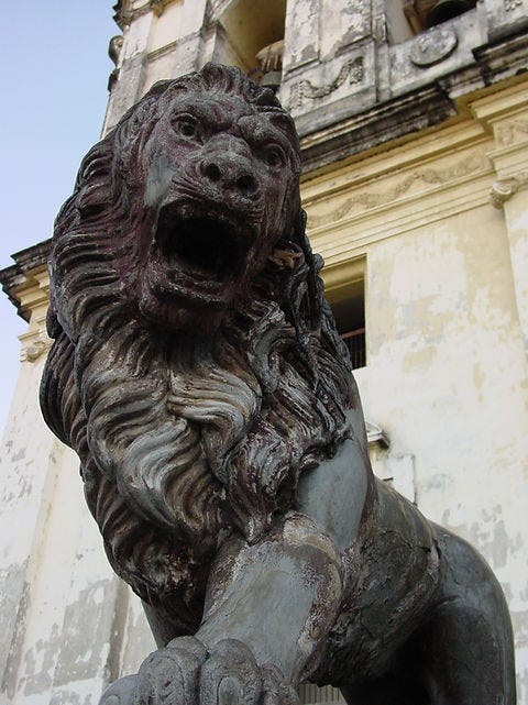 lion statue in front of cathedral