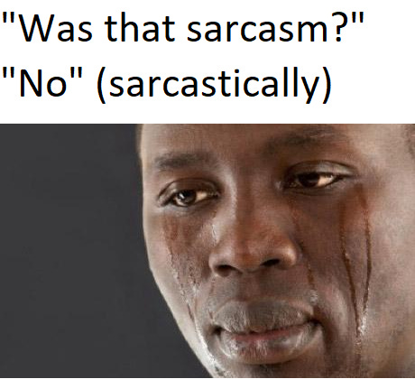 Sarcasm : r/memes