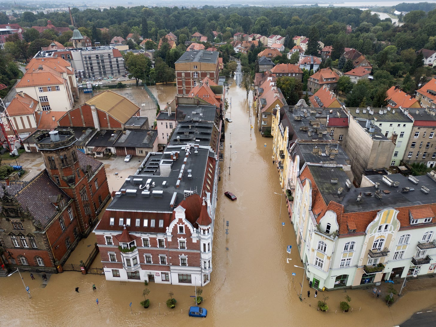 Flood-hit Central Europe fortifies towns as waters and death toll rise |  Reuters