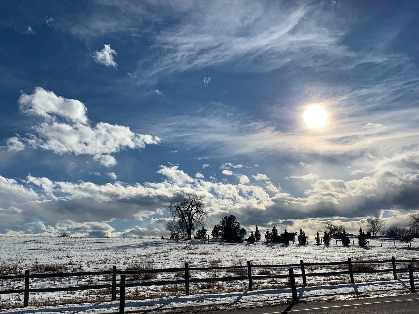 Sun shining on a winter landscape of snow covered ground, barren trees and dried grass. The blue sky is filled with wispy clouds.