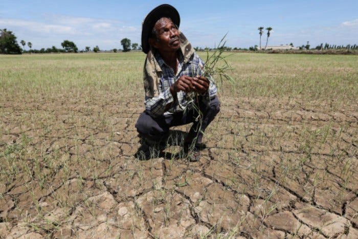 Pramote Kongburi, farmer in Thailand’s Chai Nat province, inspects his dried rice field