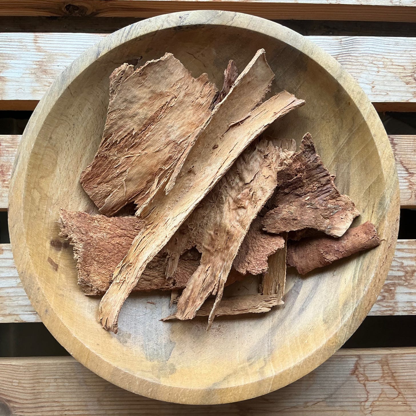 A wooden bowl containing rough brown pieces of cinnamon bark