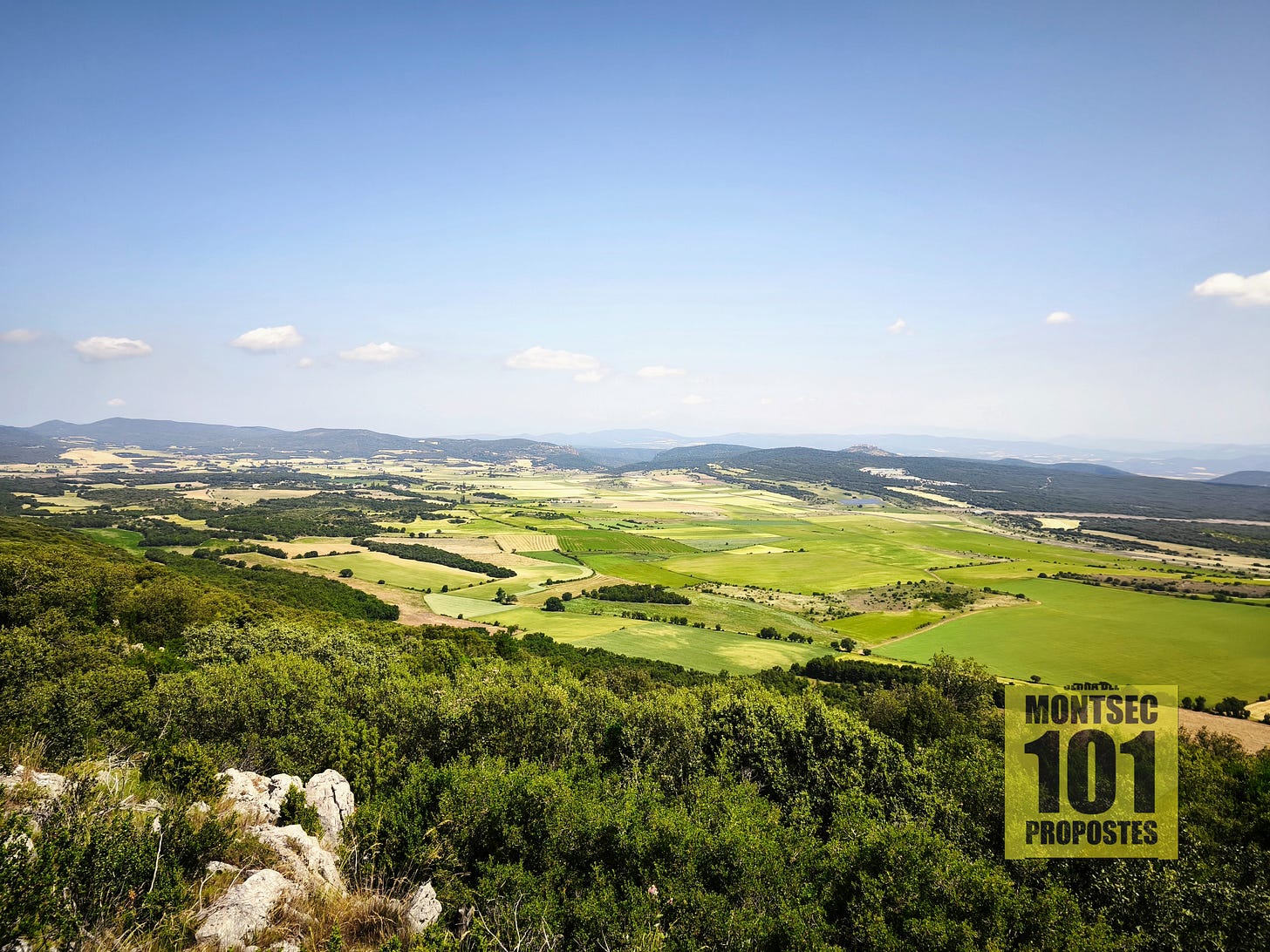 La gran plana del pòlie de Purroi, o de Saganta, o de Castelló del Pla, des del camí de pujada a Sant Quilis. Benavarri, Ribagorça d’Osca. Aragó.
