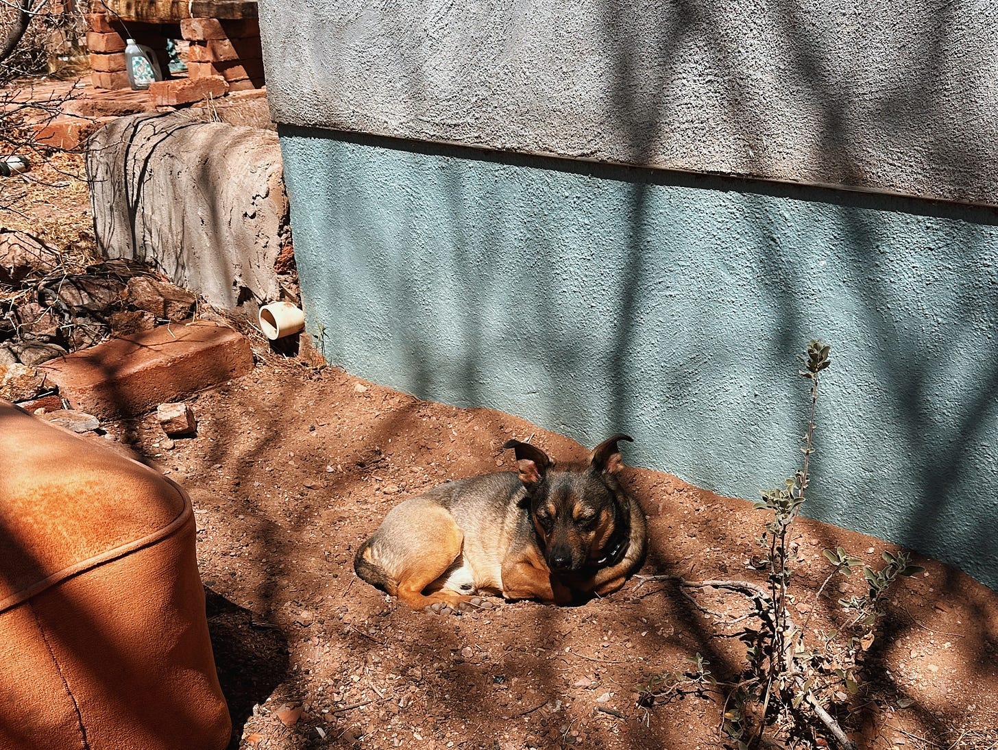 Dog lying in dirt next to house