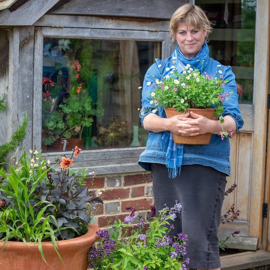 A Year Full of Pots with Sarah Raven at Thyme, Gloucestershire