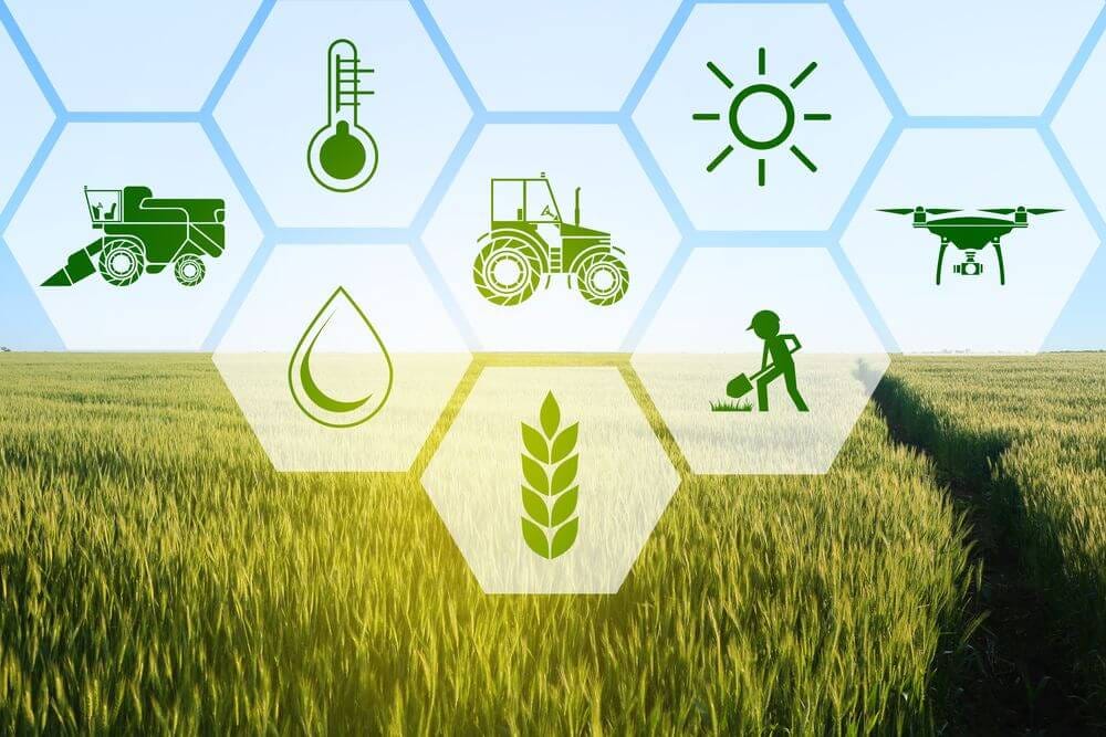 Did you know how the agriculture industry works? Here's all for you