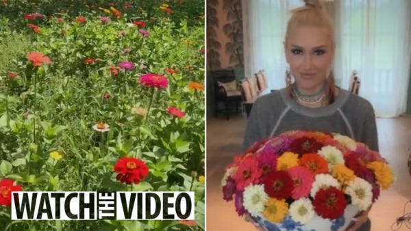 Gwen Stefani shows off her incredible sprawling field of colorful flowers  at 1,300-acre Oklahoma ranch in idyllic video | The US Sun