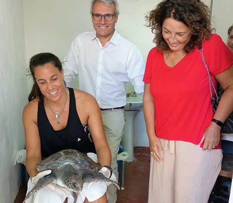 Rescate de una tortuga marina en el Estuario de Bahía Blanca