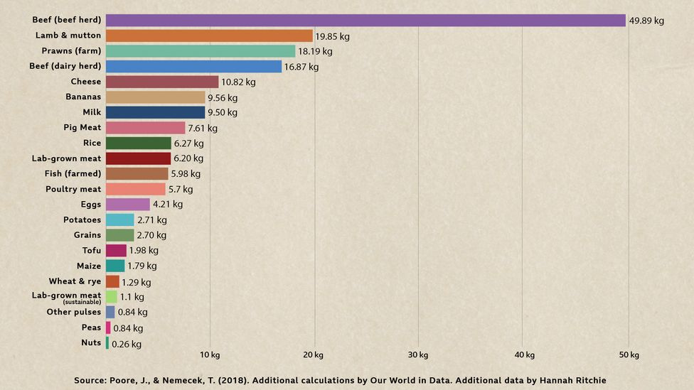 Greenhouse gas emissions per 100g of protein. (Credit: Poore, J., & Nemecek, T. (2018). Additional calculations by Our World in Data. Additional data by Hannah Ritchie) Greenhouse gas emissions per 100g of protein. (Credit: Poore, J., & Nemecek, T. (2018). Additional calculations by Our World in Data. Additional data by Hannah Ritchie)